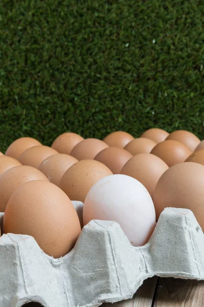 Leadership Concept : White egg is outstanding from the group of — Stock Photo, Image