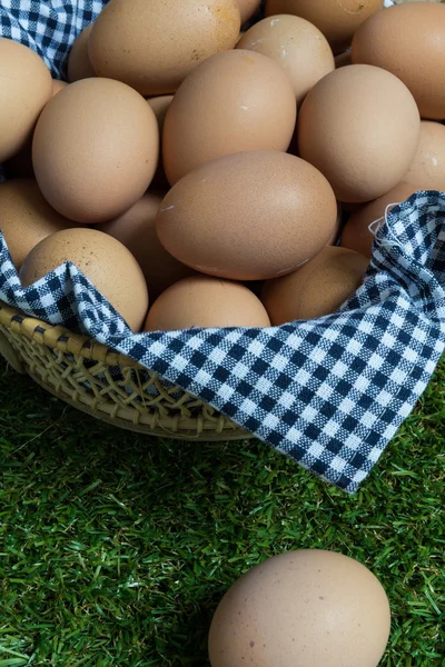 Концепция изоляции: одно яйцо лежит отдельно от группы, например — стоковое фото