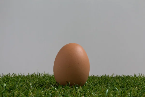 Απομόνωση έννοια: ένα αυγό που βρίσκεται στο γρασίδι. — Φωτογραφία Αρχείου