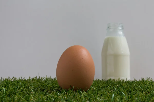 격리 개념: 1 개의 계란 잔디에 누워. — 스톡 사진