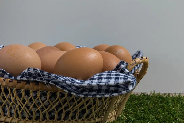 바구니에 닭 계란의 그룹 — 스톡 사진
