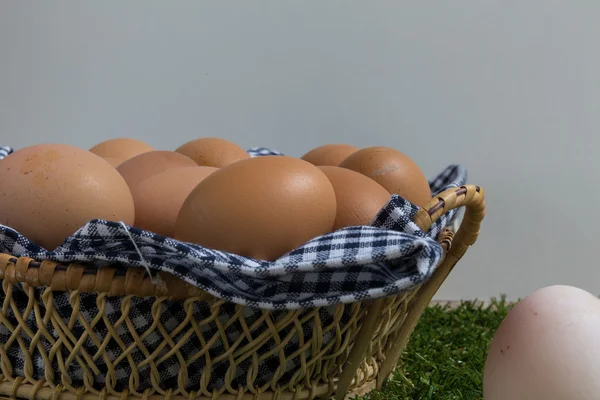 Liderlik kavramı: beyaz yumurta grubundan outstanding — Stok fotoğraf