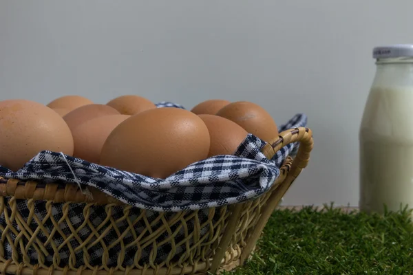 Группа куриных яиц в корзине — стоковое фото