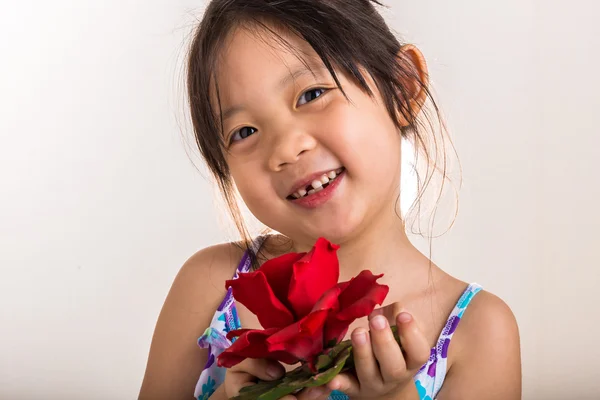 Child Holding Flower Background / Child Holding Flower / Child Holding Flower Studio Isolated Background