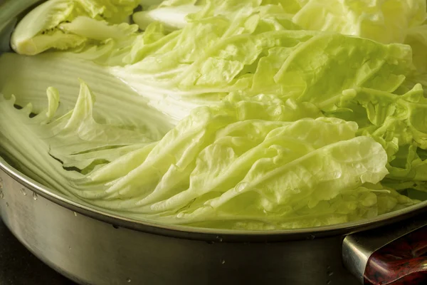 Chinese Cabbage Background / Chinese Cabbage / Chinese Cabbage Close-up Background