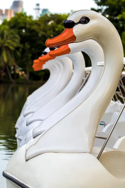 ペダルボートの白鳥ボートをペダル//白鳥の湖に浮かぶペダルのボート — ストック写真