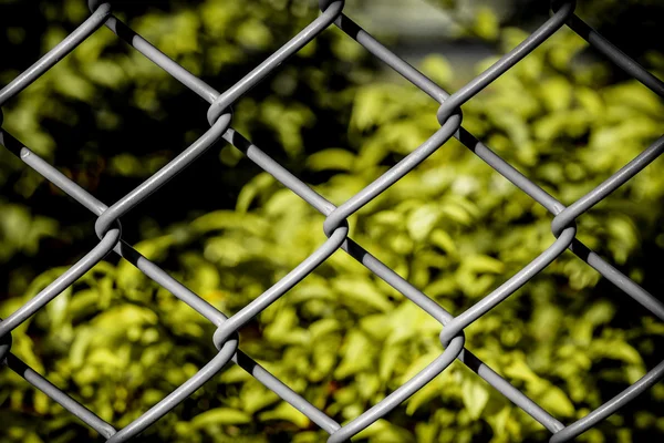 Concetto di libertà Sfondo / Concetto di libertà / Concetto di libertà Sfondo illustrato da Wire Fence — Foto Stock