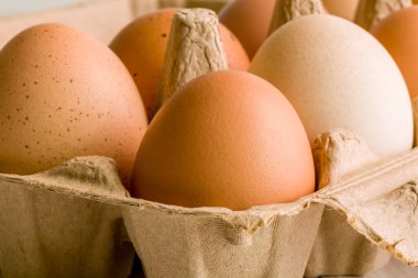 Kadar yakın yumurta / yumurta / yakın atış, makro yumurta