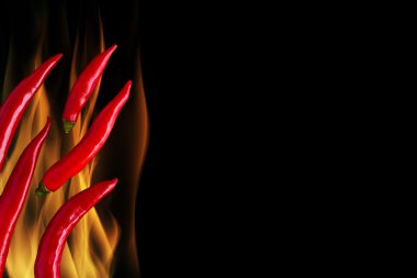 Alev arka plan üzerinde kırmızı biber / Chili alev üzerinde / alev siyah arka plan üzerinde kırmızı biber