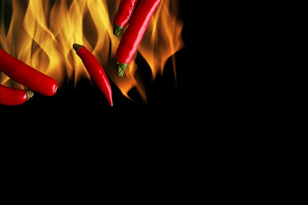 Antecedentes del chile / Chili / Chili sobre fondo negro — Foto de Stock