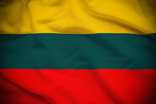 立陶宛国旗背景 — 图库照片