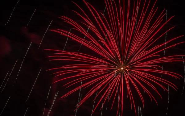 Feuerwerk unter schwarzem Himmel am 4. Juli — Stockfoto