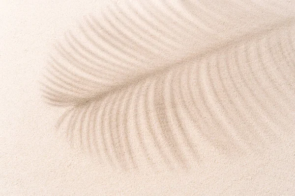 热带海滩上的沙子 夏天有椰子树叶子的影子 旅行和休假概念背景 — 图库照片