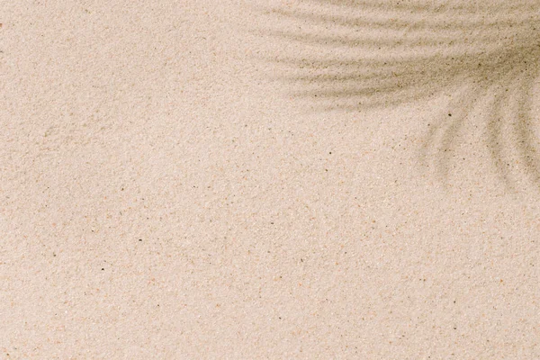 热带海滩上的沙子 夏天有椰子树叶子的影子 旅行和度假概念背景 复制空间 — 图库照片
