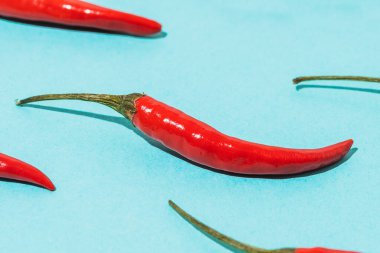 Mavi arka planda kırmızı biber deseni. Meksika yemeği..