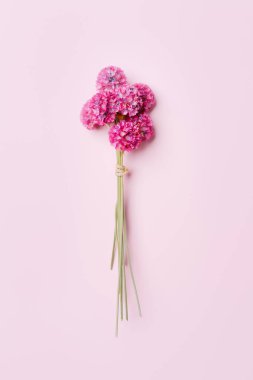 Pembe arka planda pembe çiçek buketi, boşluğu kopyala.