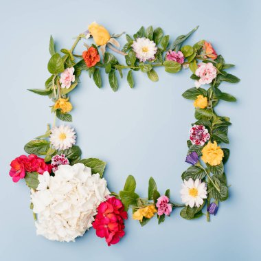 Mavi pastel arka planda farklı çiçeklerden oluşan kare bir çerçeve. Kopya alanı ile üst görünüm modellemesi.