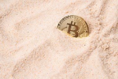 Kuma gömülü altın bitcoin. kripto para birimi ve para