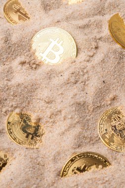 Kuma gömülü altın paralar. kripto para birimi ve para