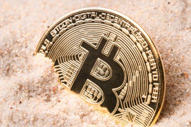 Kuma gömülü altın bitcoin. kripto para birimi ve para