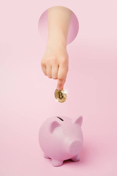 unknown hand with a golden bitcoin and a pink piggy bank on a pink background. Saving in cryptocurrency.money