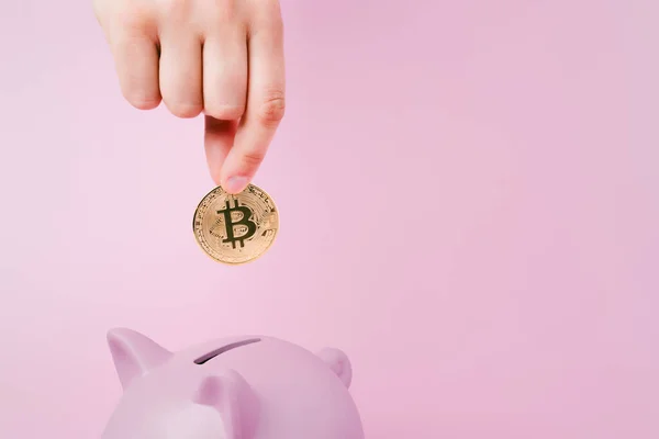 Mão Desconhecida Com Bitcoin Prata Porquinho Rosa Fundo Rosa Poupança Imagem De Stock