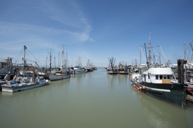 Pier at Steveston, Canada 1
