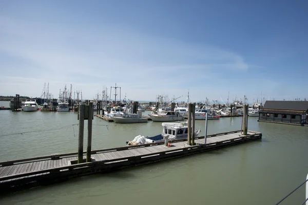 Molo a Steveston 9 — Foto Stock