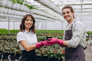 İyi iş çıkardın. Gülümseyen bahçıvanlar seraya çiçek diktikten sonra eğleniyorlar.