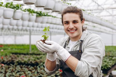 Genç yakışıklı bahçıvan, eldiven ve önlük takıyor toprağı yeni filizlenmiş olarak tutuyor.