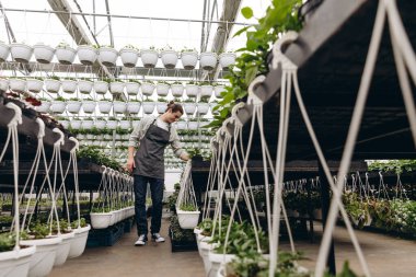 Bahçede çalışırken önlük giyen çekici bahçıvan.