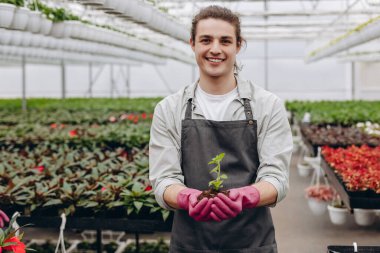 Serada genç bitkileri nakleden çekici bir genç adam. Çiçekçi.
