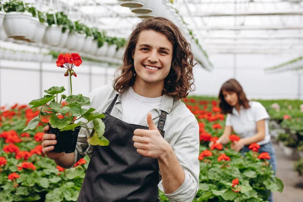 Team of happy gardeners busily working, arranging, sorting colorful flowers, vegetation and plants in a sunny industrial greenhouse