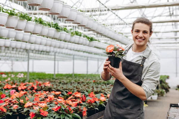 Portrait of a young man florist that cares for the flowers in the greenhouse