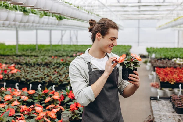 Young smiling man florist holding flowerpot and working in the greenhouse. Garden centre