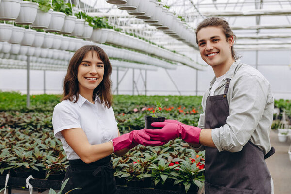 Отличная работа. Улыбающиеся садовники веселятся после посадки цветов в теплице