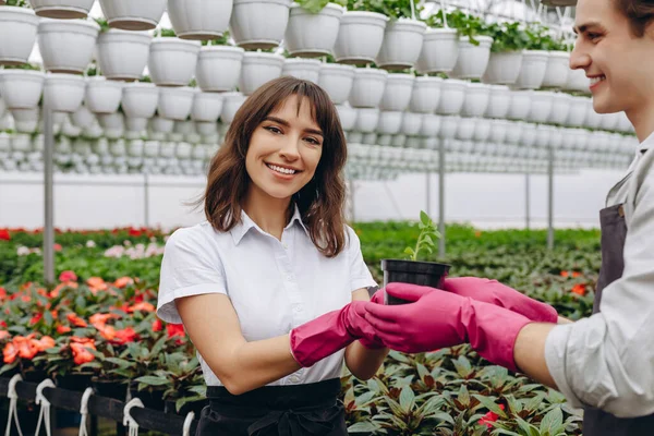 Great work. Smiling gardeners having fun after planting flowers in greenhouse