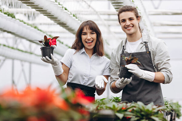 Красивые флористы улыбаются в камеру, держа цветочные горшки в оранжерее