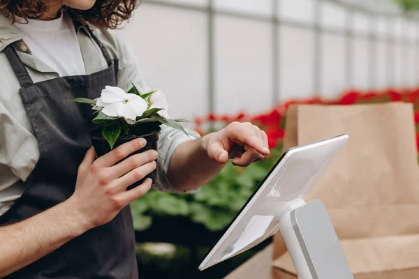 Erkek çekici çiçekçi, bahçe merkezinde saksı satıyor, tabletin yanında duruyor.