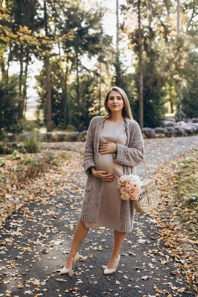 Zwangere Vrouw Die Poseert Het Park Wandelen Het Park Professionele — Stockfoto