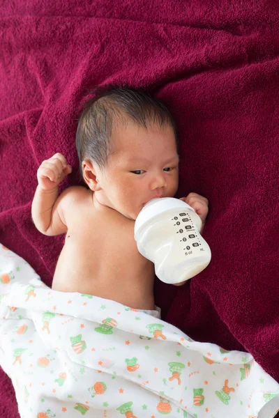 Новорожденный младенец ест молоко из бутылки . — стоковое фото