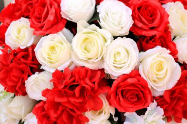 Beyaz ve kırmızı gül çiçekler arka plan doku.