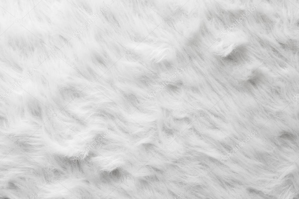 Sheep wool fur background texture wallpaper.