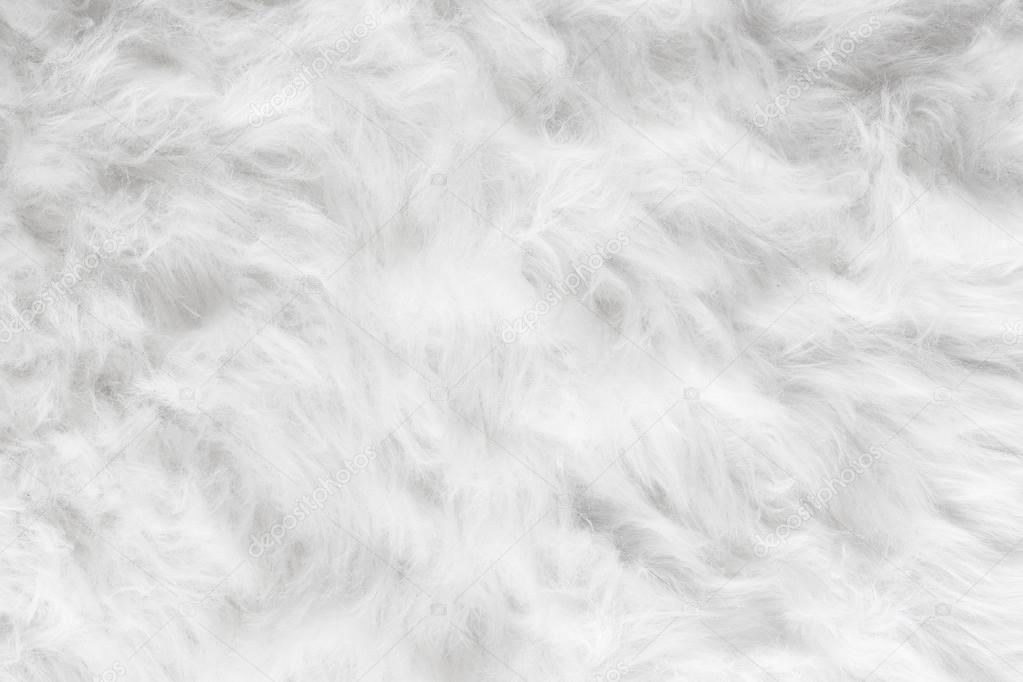 Sheep wool fur background texture wallpaper.