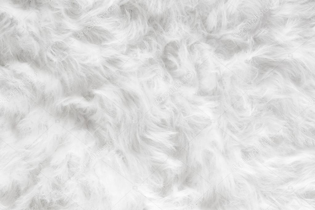 Sheep wool fur background texture wallpaper. Stock Photo by