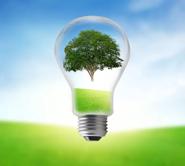 Tree in electric bulb on grassland. Eco energy concept. — Stock Photo, Image