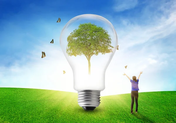 Women happy refreshing environmental on tree eco light bulb. — Stock Photo, Image