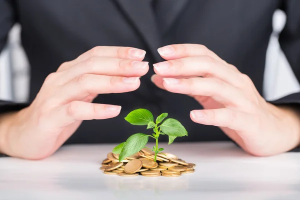 Крупним планом бізнес-руки заощаджують гроші, щоб скласти дерево на монетах . — стокове фото