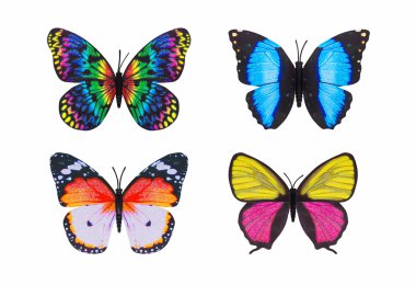 Farklı kelebek renkli izole beyaz arka plan.