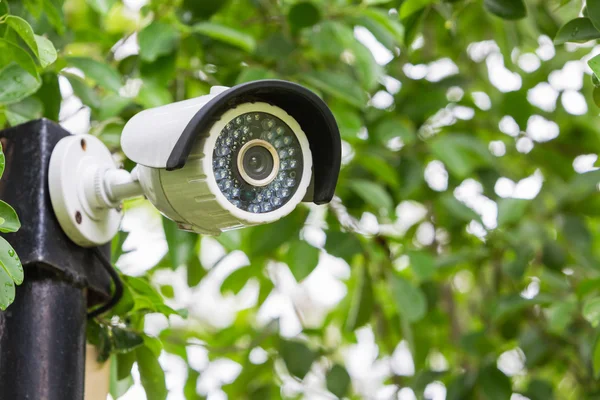 Camera de securitate CCTV în aer liber în grădină . — Fotografie, imagine de stoc